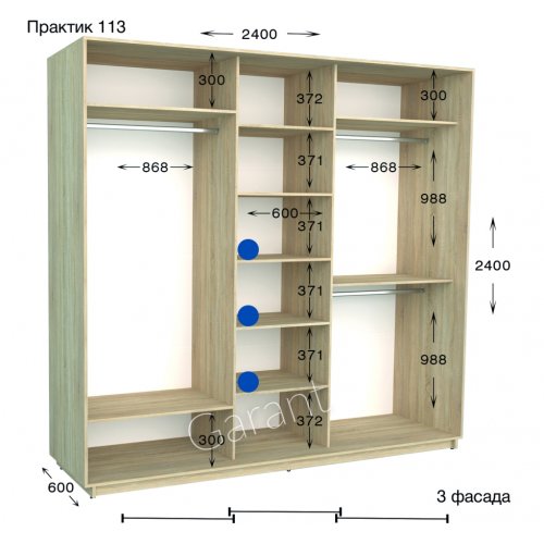 Шкаф-купе 2400*600*2400 Гарант Практик-113
