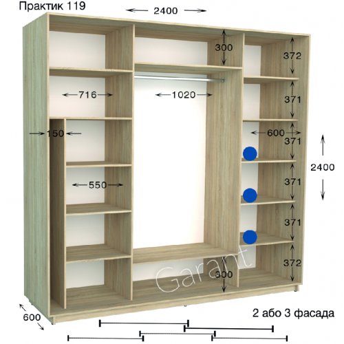 Шкаф-купе 2400*600*2400 Гарант Практик-119/2