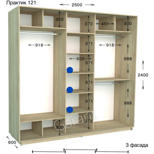 Шкаф-купе 2500*600*2400 Гарант Практик-121