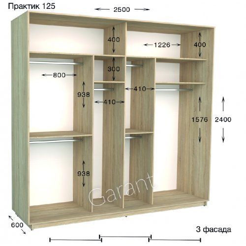 Шкаф-купе 2500*600*2400 Гарант Практик-125
