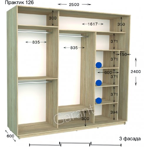 Шкаф-купе 2500*600*2400 Гарант Практик-126