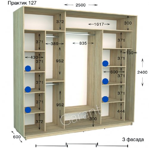 Шкаф-купе 2500*600*2400 Гарант Практик-127