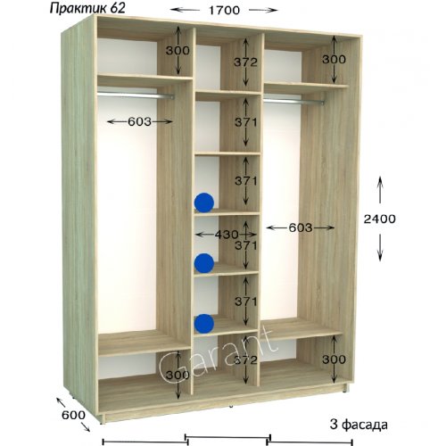 Шкаф-купе 1700*600*2400 Гарант Практик-62