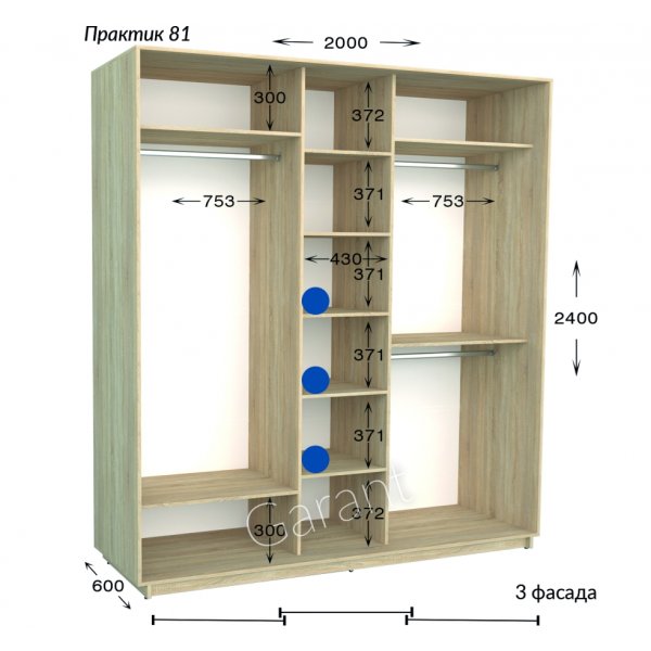 Шкаф-купе 2000*600*2400 Гарант Практик-81