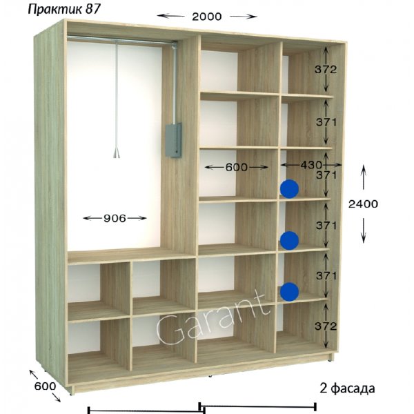 Шкаф-купе 2000*600*2400 Гарант Практик-87